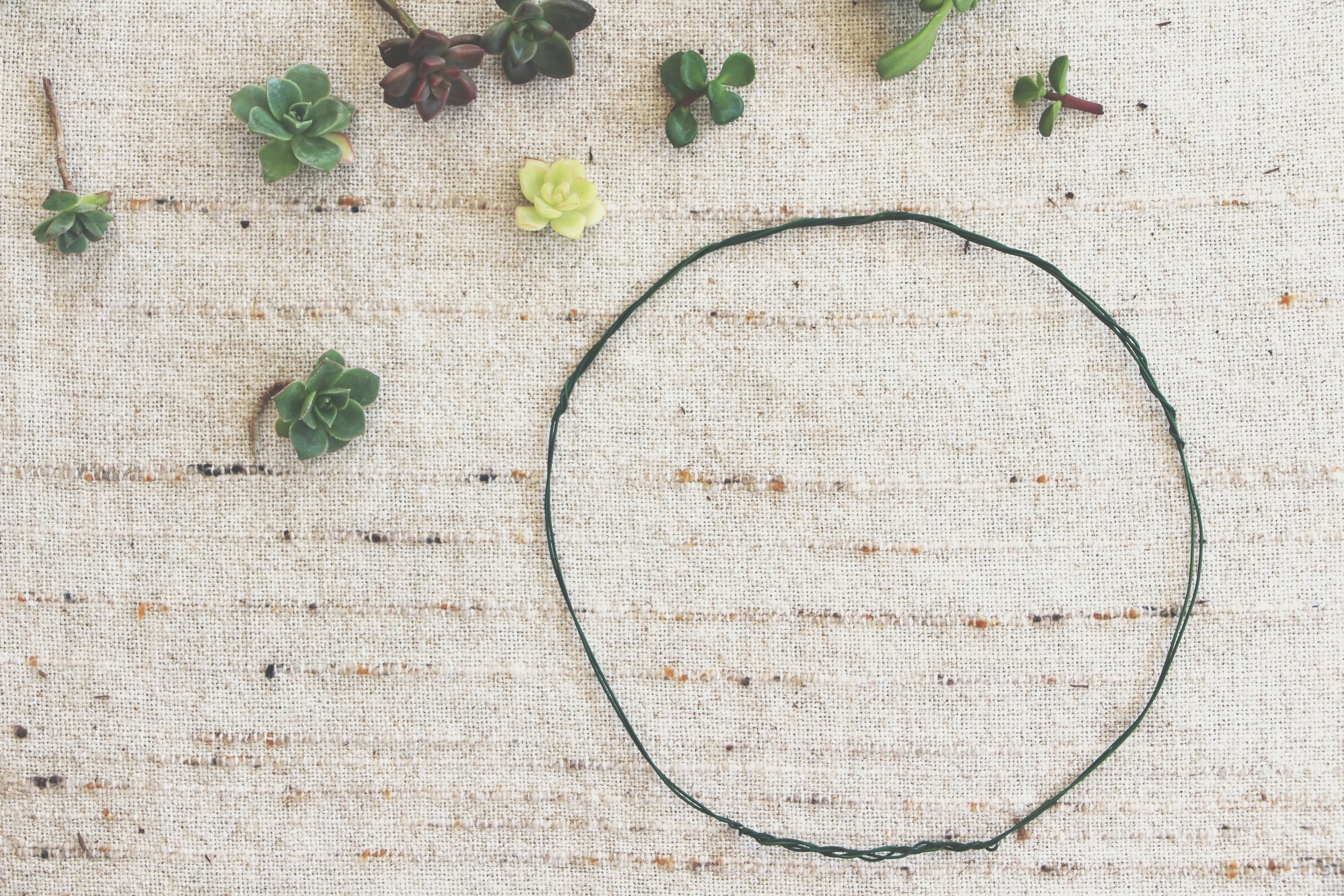 diy succulent crown via needles + leaves